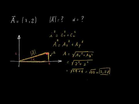 Video: Come Determinare Il Modulo Di Un Vettore