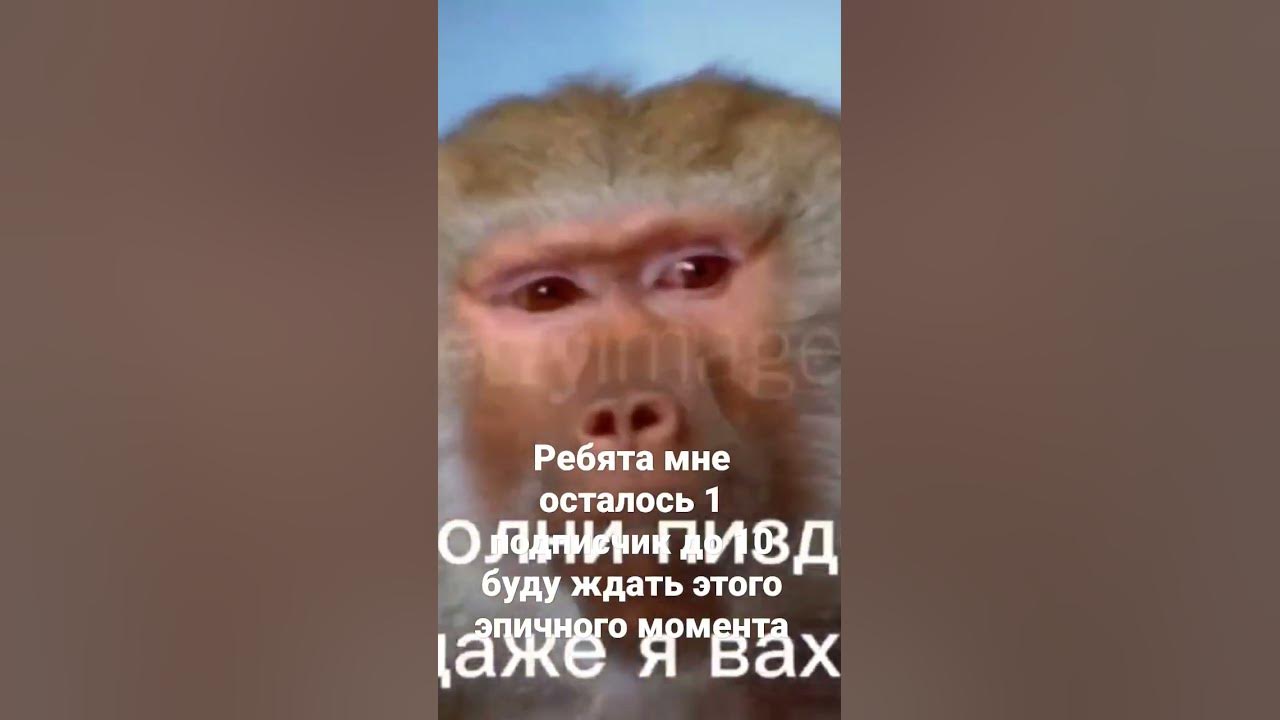 пон - YouTube