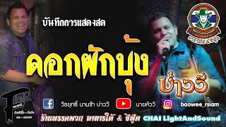 ดอกผักบุ้ง - บ่าววี【ร้านพรรคพวก อาหารใต้ | แสดงสด】