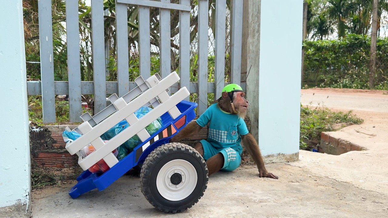 Funny CUTIS  Super car prank troll Dad