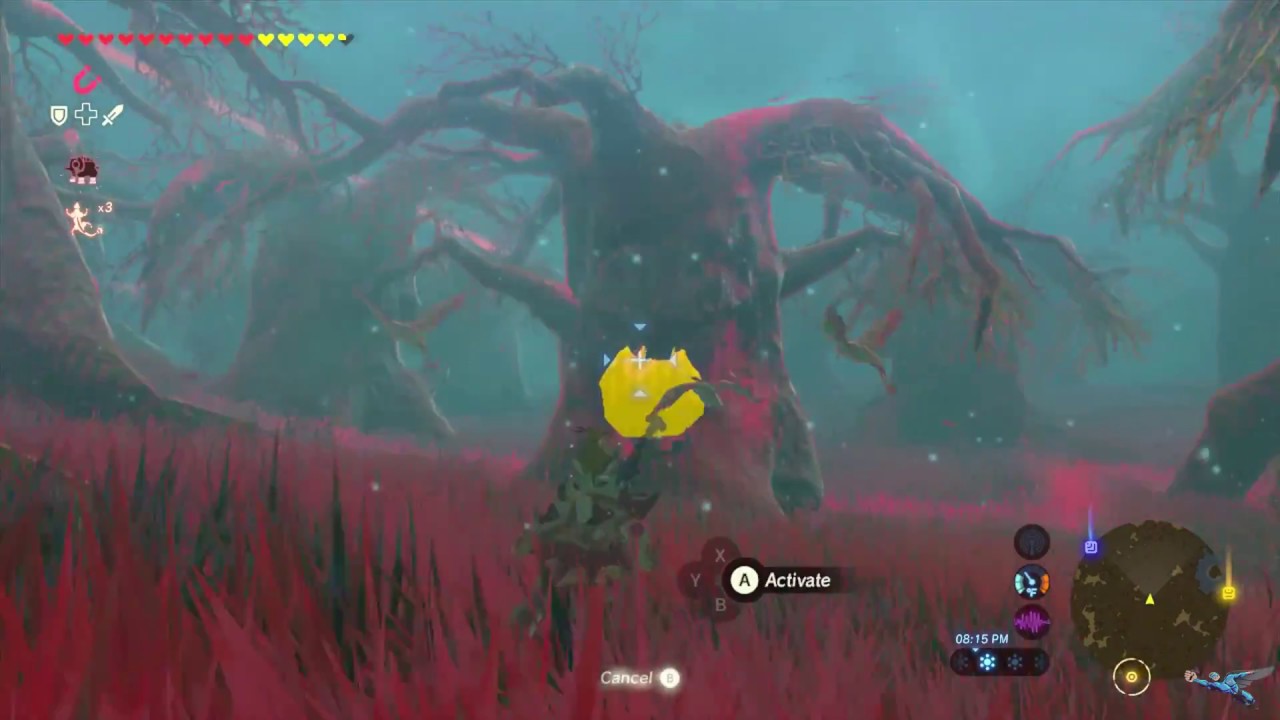 How To Complete The Trial Of Second Sight Shrine Quest In BotW