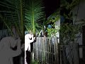 hantu ditengah malam #comedy