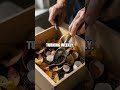 Pizza Box Compost Bin A Fresh Kitchen Waste Hack