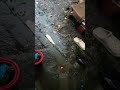kondisi bali saat ini
