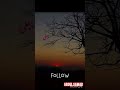 #trending #short video