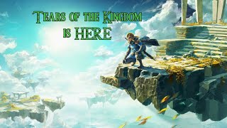 Finding the last sage! TOTK first Playthrough part 8!