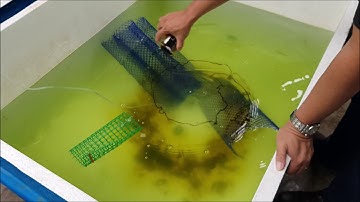 Workshop on the application of biofloc technology  part 2