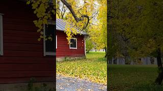 Seinajoki, Finland Autumn Series