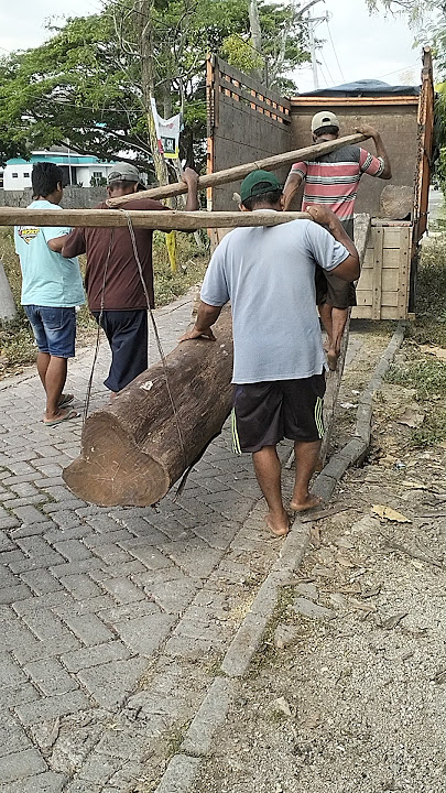 Load official teak wood in Indonesia 2 #woodworking #russia #america #korea #india #japan #brazil