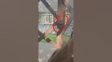 I found cleverly hidden Geocache in the Urban area #geocaching #geocache #geocachers