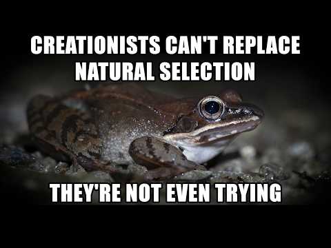 Creationists Don't Know What Adaptation Is