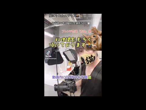 猫にゃごカメラマン📸🐈