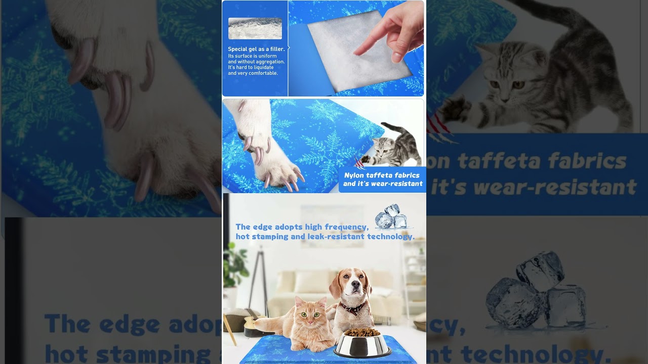 🐾 Ultimate Comfort for Your Furry Companion! 🌞🐶