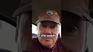 Weed and Pest Control Without Chemicals #naturalfarming
