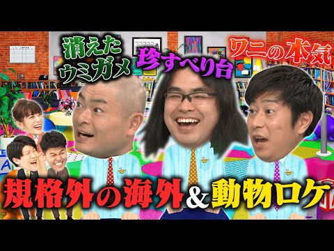 【土佐カンあるある】海外＆動物ロケ裏話ＳＰ～ロッチ中岡＆パンサー尾形＆あばれる君参戦～