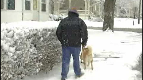 Tracy Baxter Reports:  Snow hits the Hudson Valley