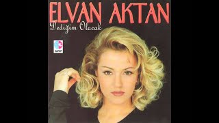 ELVAN AKTAN-DEDİĞİM OLACAK Resimi