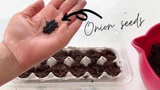 🧅 Starting ONION SEEDS INDOORS in an EGG CARTON!
