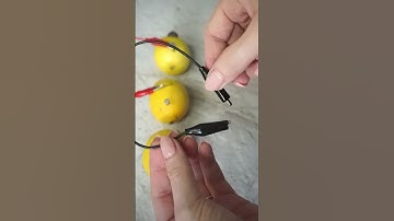 🍋 EASY LEMON CLOCK SCIENCE EXPERIMENT #shorts @LABble
