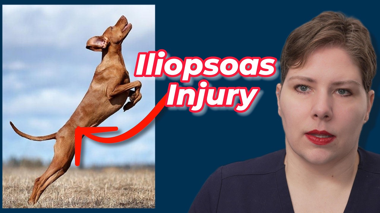 Subtle Lameness? Don’t Miss Iliopsoas Pain | Vet’s Voice