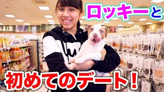 ロッキー初めてのお出かけ！洋服に首輪！おもちゃも！【ペット】