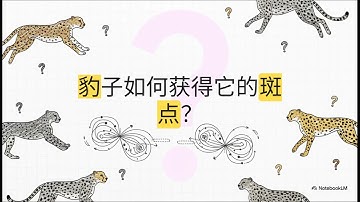 图灵：形态发生学之父
