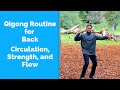Qigong for Back Strength and Circulation - Relaxing as Well ?