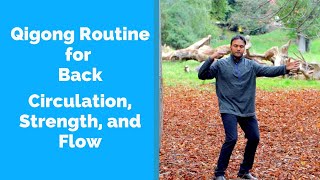 Qigong for Back Strength and Circulation - Relaxing as Well 🙂 screenshot 5