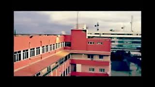 Big Z - Mais Porque