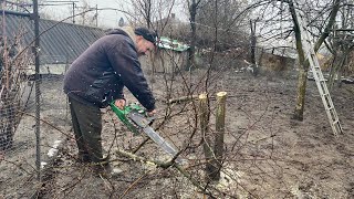 СУБОТНІЙ ДЕНЬ // Чоловік обрізає дерева в саду.., а я знову випрошую грошей ...