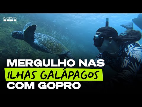 GoPro: Mergulho em Galápagos | Freediving | Ilhas Galápagos