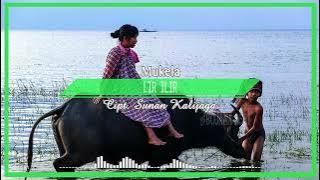 Mukela - Lir Ilir Video Lyrics