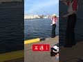 イワシってこんなに釣れるの？【酒田のサビキ釣り】