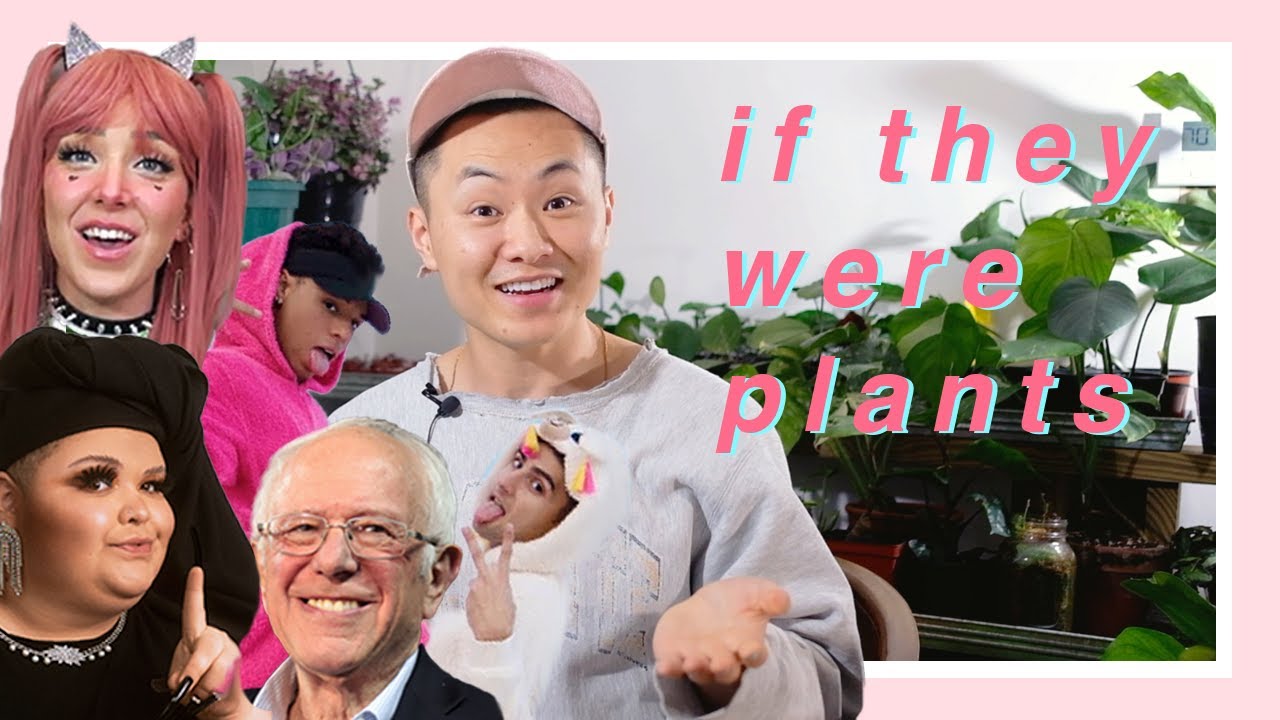 What Plant Would They Be?: Celebrity Edition