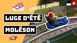🇨🇭🛷 [BOB-LUGE D'ÉTÉ DU MOLÉSON] SENSATIONS FORTES EN GRUYERE