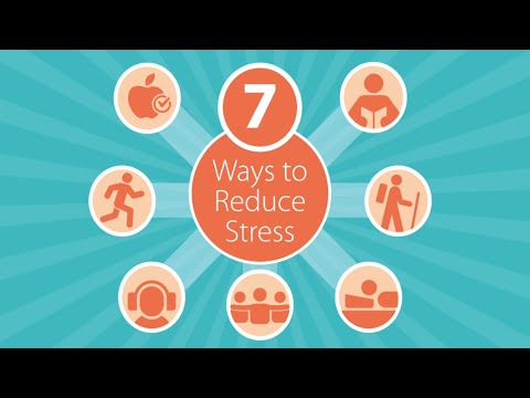 Video: Spikret Det! 5 Tip Til Stressfri Hundespik