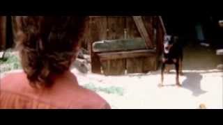 Dobermans in movie -- 38 (part 4) -- Доберманы в кино Dobermans in movie -- 38 (part 4) -- Доберманы в кино