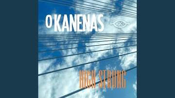 Never Try Never Fail