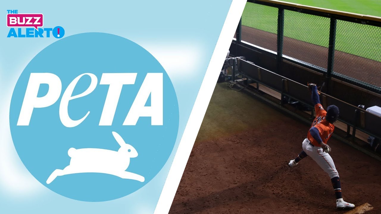 PETA wants baseball 'bullpen' renamed. Did anyone ask the bulls?