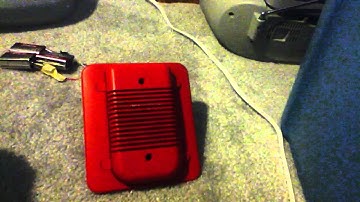 System sensor specteralert classic horn H12/24 code 3