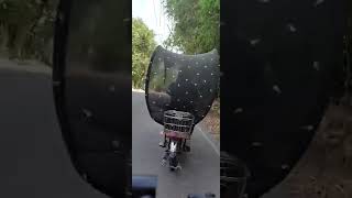 Muzon To Muzon River 05142022