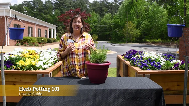 Container Gardening with Laura Mirarchi