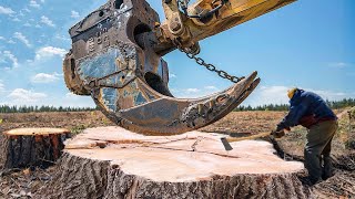 Amazing Dangerous Biggest Stump Removal Excavator - Heavy Machines Work Satisfactorily