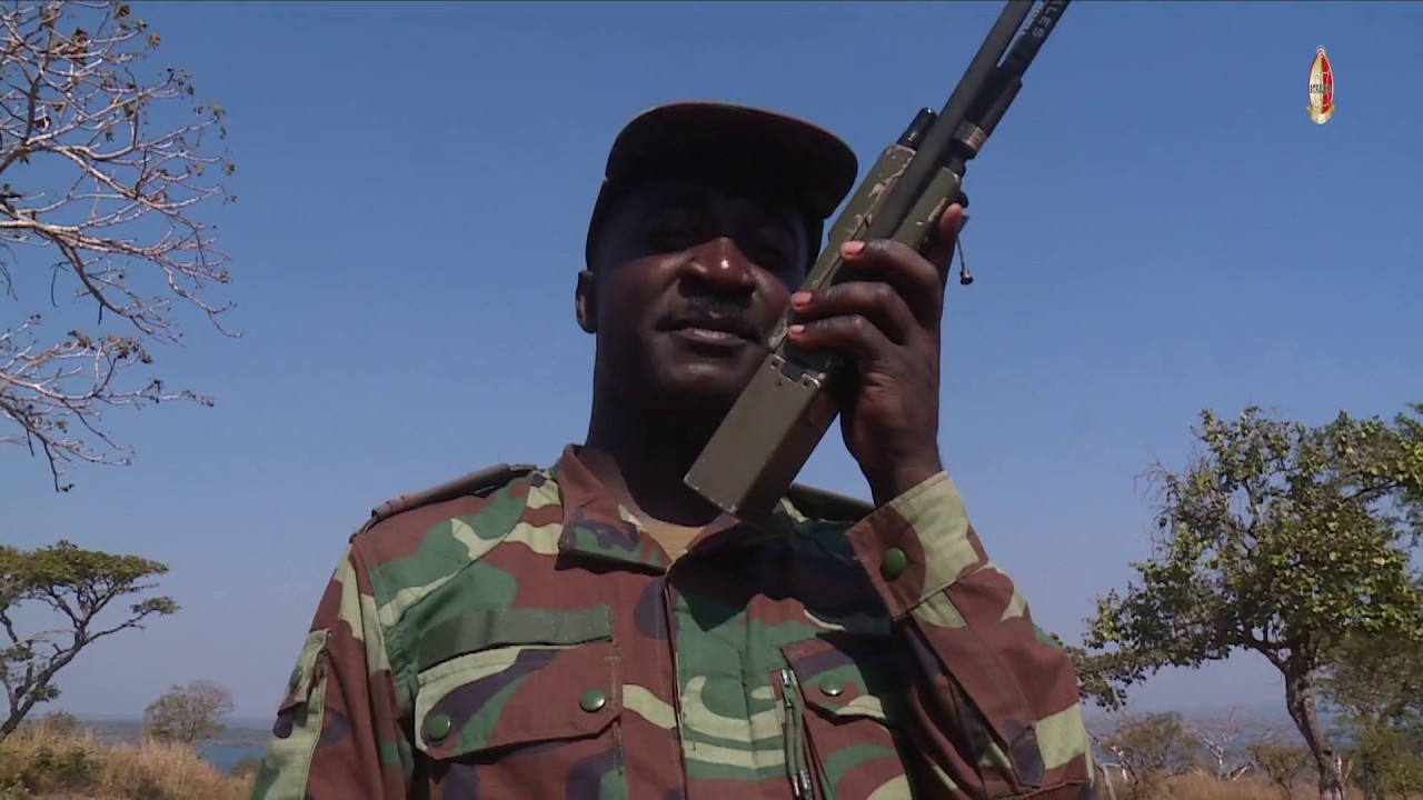 PROGRAMA BALUARTE N.º2(11.02.2026)