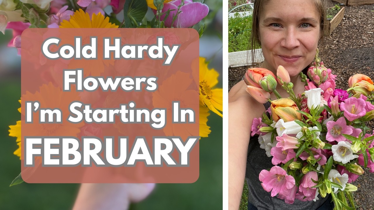 Cold Hardy Annuals - What I'm Seed Starting This February