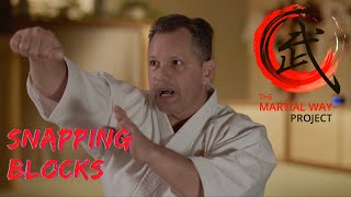 Seichin Kata - Uechi-ryu Karate Masterclass Chapter #1 Seichin Kata - Uechi-ryu Karate Masterclass Chapter #1