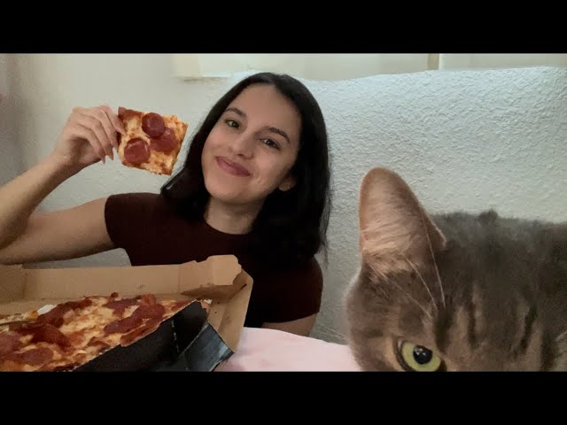 LOFI ASMR EATING PIZZA WITH MY CATS 💞✨🐈‍⬛💓🍕 ~ eating sounds + talking