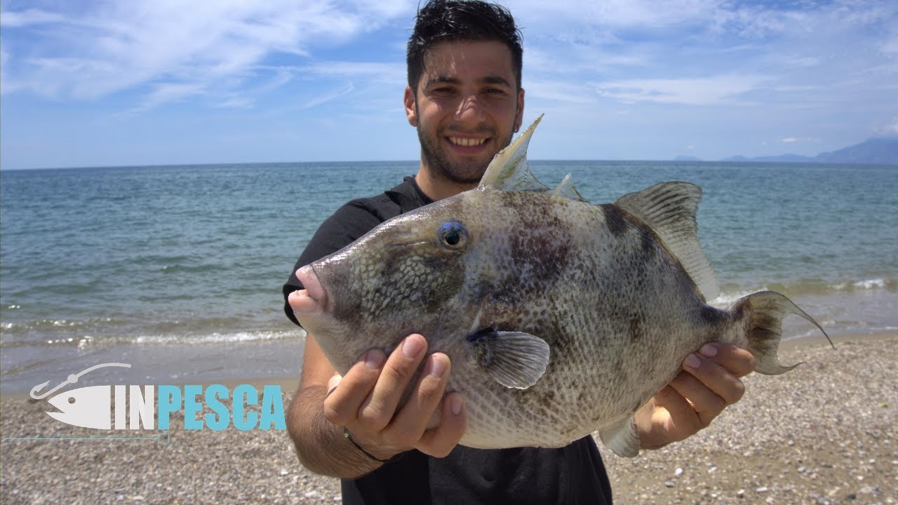 AlfaEx Sacchetti per la pesca, 40,6 x 61 cm, a prova di perdite, fondo arrotondato, in plastica trasparente, per il trasporto di pesci tropicali e