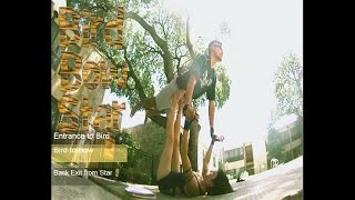 How to AcroYoga - Bird, Bow, Star Poses