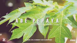 Ade pepaya - pace_santana x legi_483 x pace_gunung